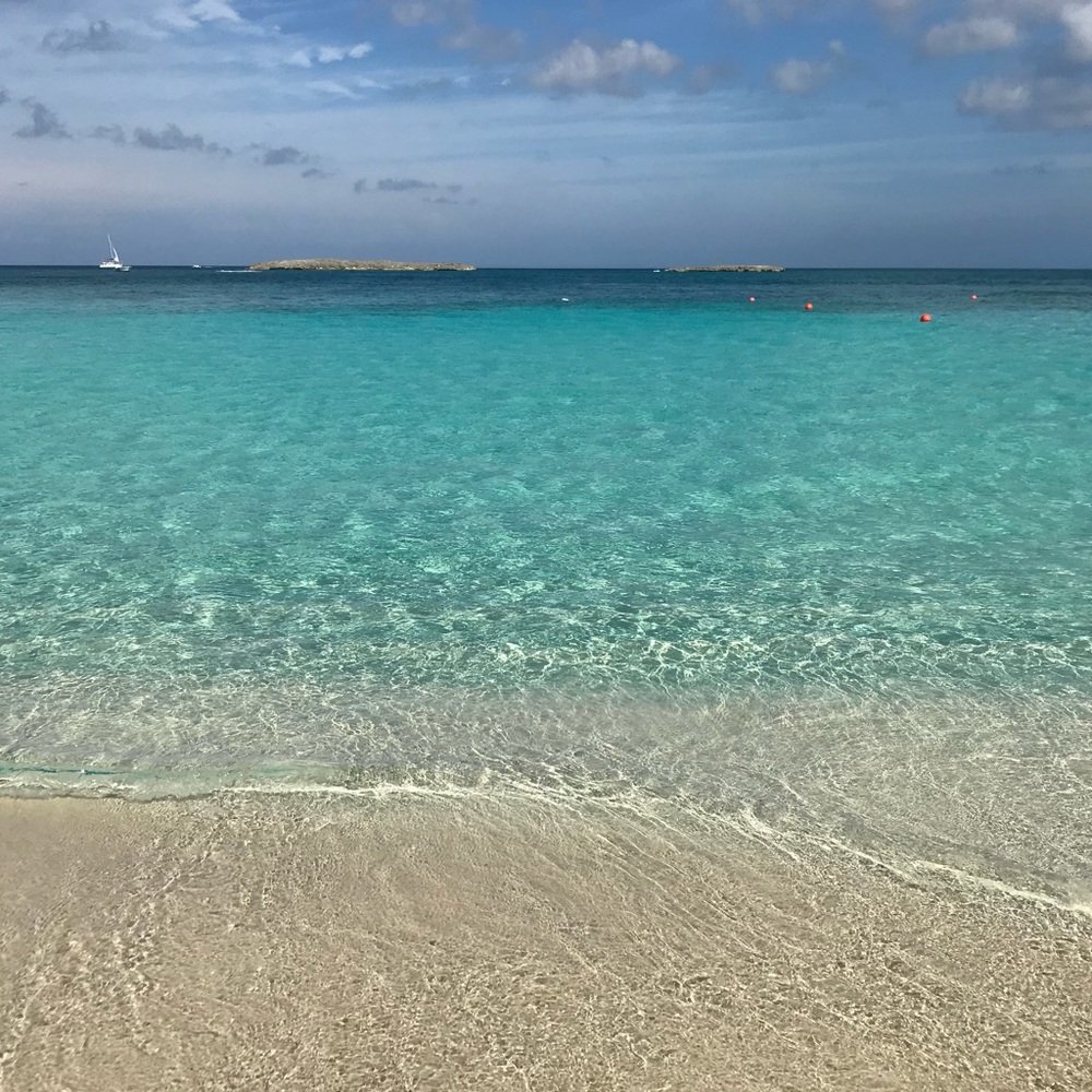 Meet your Posher, Bailey